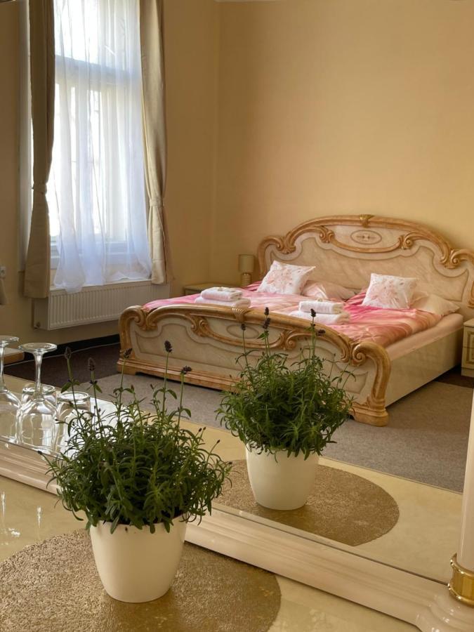 Apartmany Vila Tyniste Tyniste nad Orlici Экстерьер фото